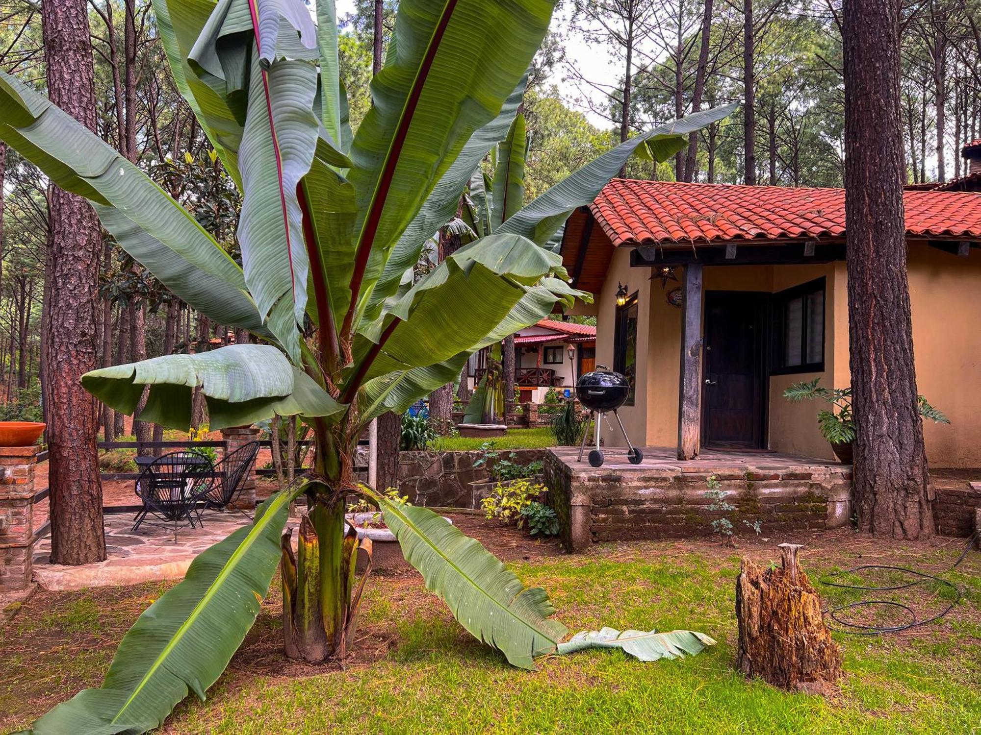 Cabanas Las Morenas Mazamitla Exterior photo